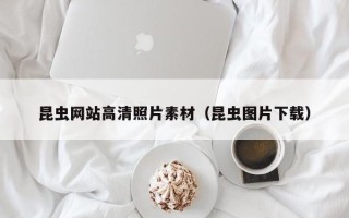 桓台昆虫网站高清照片素材（昆虫图片下载）
